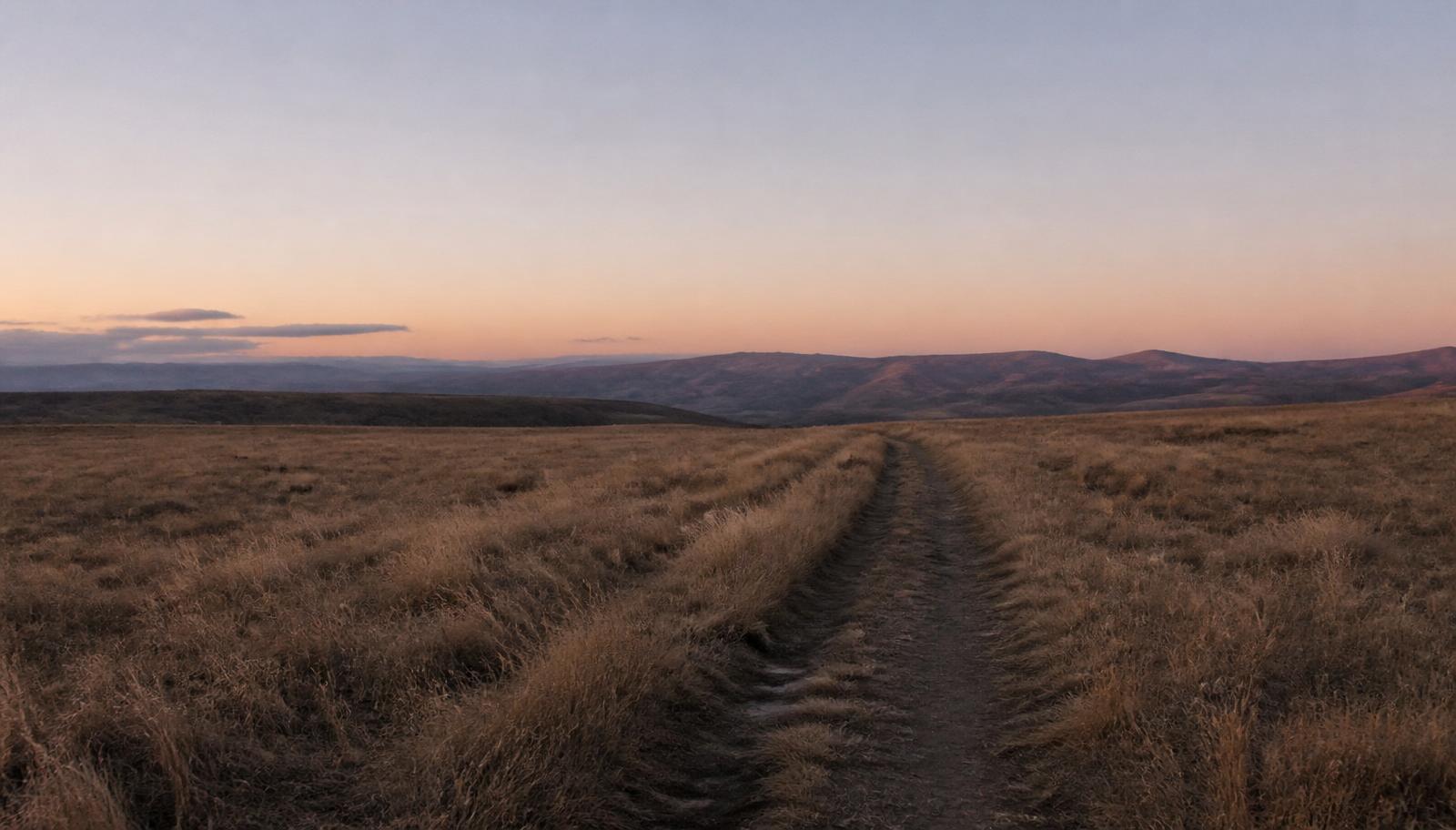 A faint footpath crossing open grassland toward distant hills at first light.